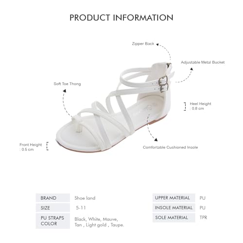 31FkCFMBRXL.jpg Gladiator Sandals for Women ??Strappy Flat Sandals with Ankle Strap & Back Zipper | Fisherman Thong Strappy Style for Walking, &