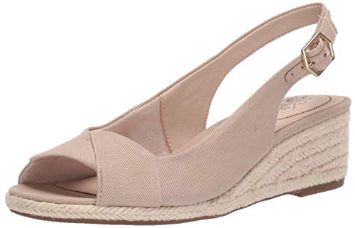 413dsXs8Z9L.jpg Women's Socialite