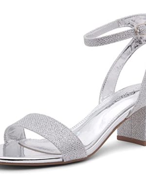Women's Low Heels ?C 2.75 Inch Chunky Block Heeled Sandals | Clear Sandals, Open Toe Dressy Short Heels with Ankle Strap for