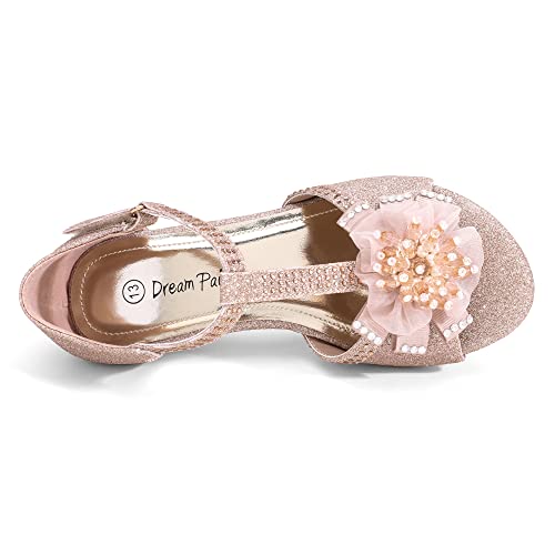 41Ppl4si7dL.jpg Girls Sandals Low Heel Dress Pump Ankle T Strap Flower Shoes Toddler/Little Kid/Big Kid