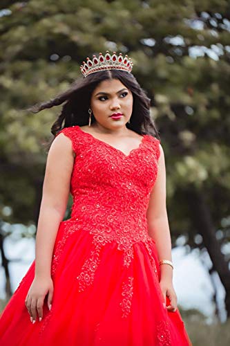 41ZEP7ydgML.jpg Ball Gown Quinceanera Dresses Sweet 16 Prom Party Princess Dress for Teens
