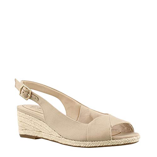 41ivgqm9XL.jpg Women's Socialite