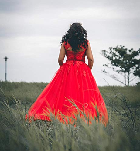 41jC5xBSRwL.jpg Ball Gown Quinceanera Dresses Sweet 16 Prom Party Princess Dress for Teens