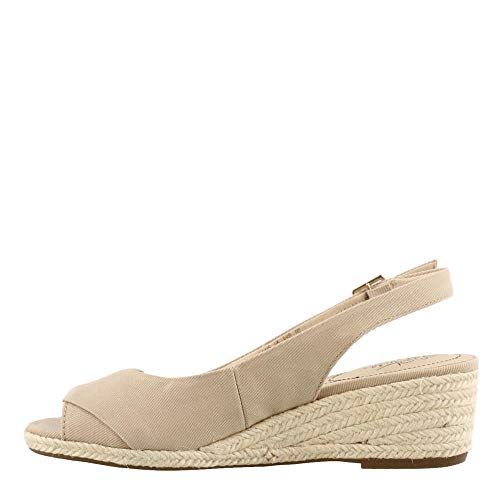 41oB3C2vAEL.jpg Women's Socialite